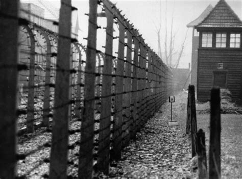 Why Teaching The Holocaust Still Matters The Spectator World