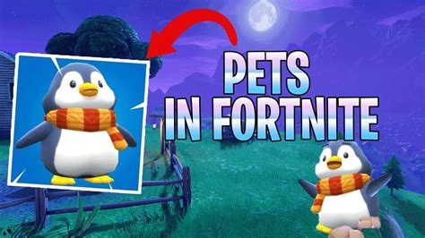 New Pets In Fortnite Battle Royale Youtube