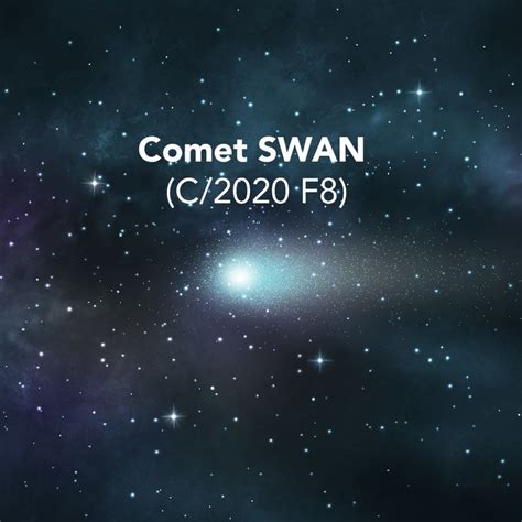 Newly Found Comet Swan C2020 F8 Approaches Earth Comet Swan