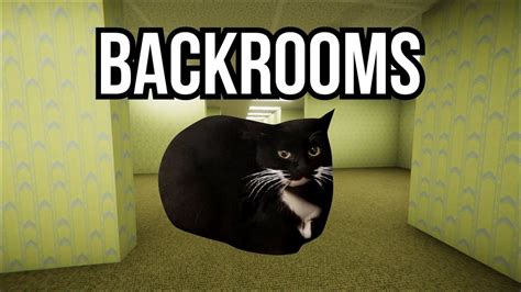 Maxwell The Cat In The Backrooms Youtube