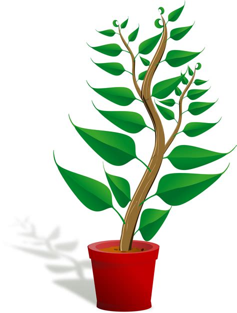 plants clip art free clipart images getting to know plants 3333x4384 png clipart download