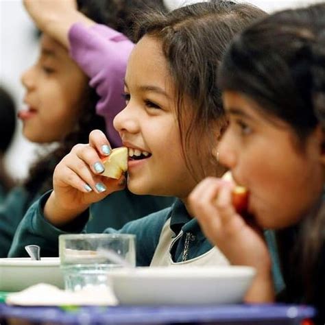 Schools Must Now Serve Meat Free Meals At Least Once A Week In France