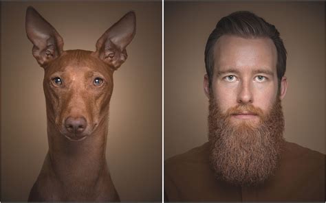 Petalikes Meet The Dogs Who Look Like Their Owners