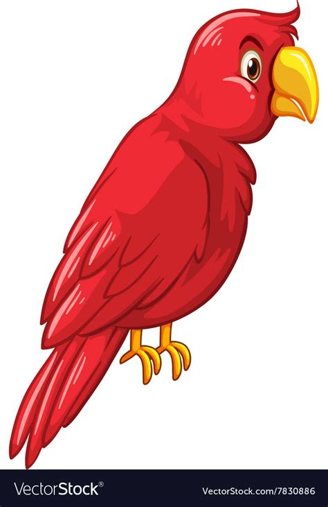 Red Bird On White Background Royalty Free Vector Image