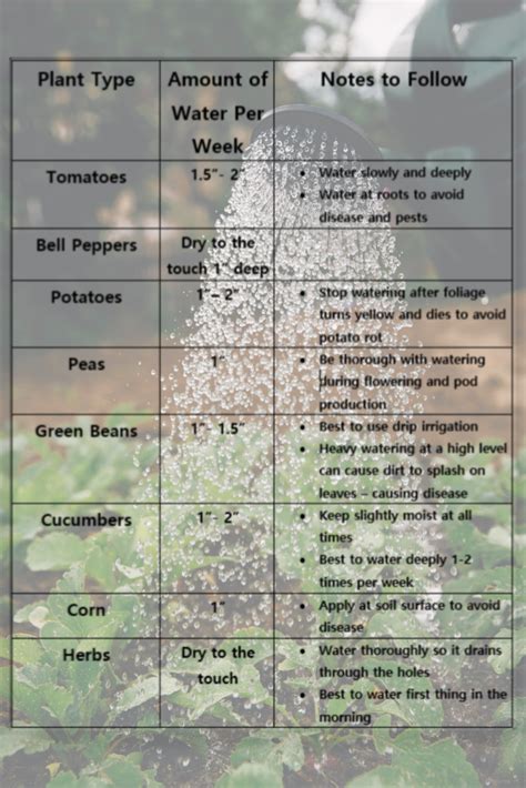 What I M Gardening This Week Watering Schedule Growing Up Kemper
