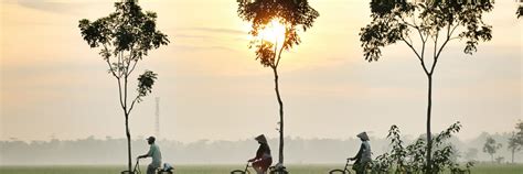 Setiap buah dam hanya satu langkah ke depan, samping atau diagonal mengikuti garis, tidak boleh mundur. Bikin Bangga Indonesia 5 Cara Sederhana Melestarikan ...