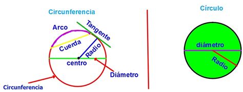 4º Primaria Matemáticas La Circunferencia Y El CÍrculo