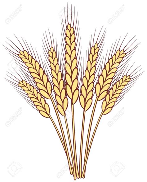 Stalks Of Wheat Clipart Free Images At Vector Clip Art