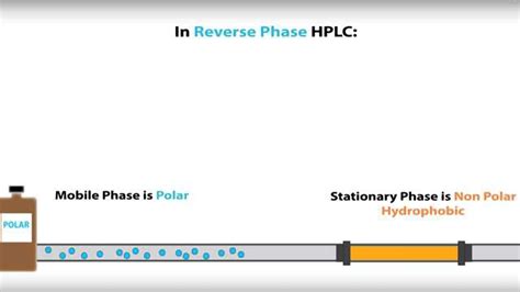 Hplc Normal Phase Vs Reverse Phase Video Technology Networks