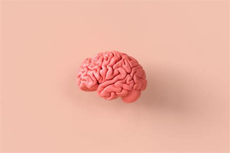 Aprende Como Programar Tu Cerebro La Mente Es Maravillosa