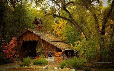 Nature Photography Landscape Barn Hut Forest Fence Fall Shrubs