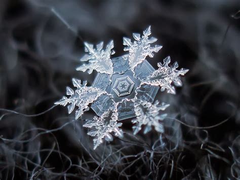 Stunning Macro Details Of Uniquely Beautiful Snowflakes With An