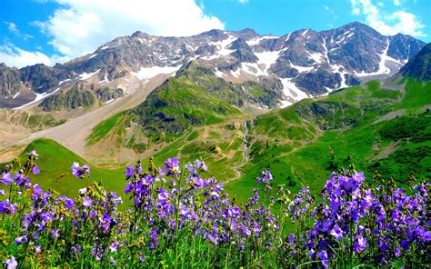 Mountains Alps Flowers Landscape Wallpaper 2560x1600 153394