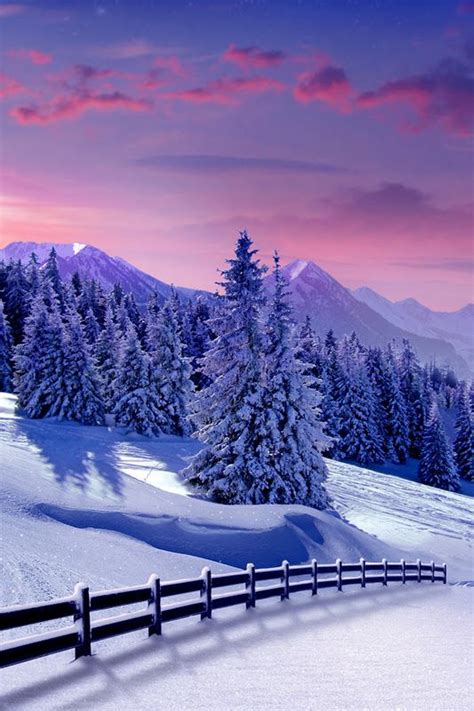 Beautiful Winter Scenery Just Love The Moon On The Snow