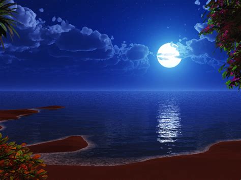 Beautiful Romantic Image Night Beach Palm Tree Full Moon Clouds