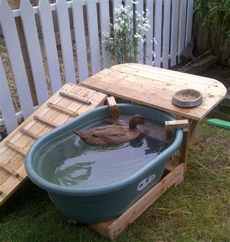 Duck Deck: Backyard Duck Habitat (with Pictures) - Instructables