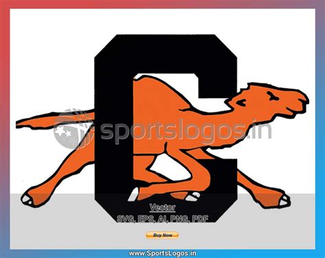 Method name media_content_taxonomy::mctf_register_media_content_taxonomy is not in camel caps format. Campbell Fighting Camels - 1993-2004, NCAA Division I (a-c ...
