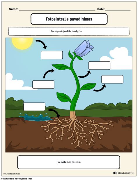 Nuotraukos Portreto Spalva 2 Storyboard Par Lt Examples