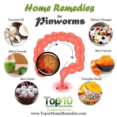 Hygiene Tips And Self Care For A Pinworm Infection Home Remedies For