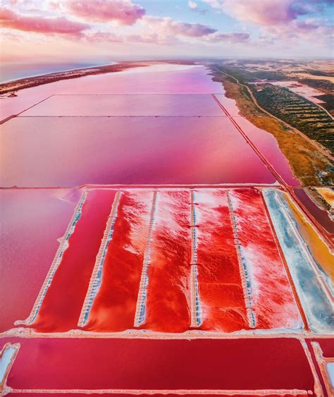 I Photographed The Magic Pink Lagoon In Western Australia Western