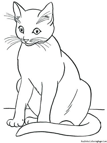 Anime Cats Coloring Pages At Free Printable