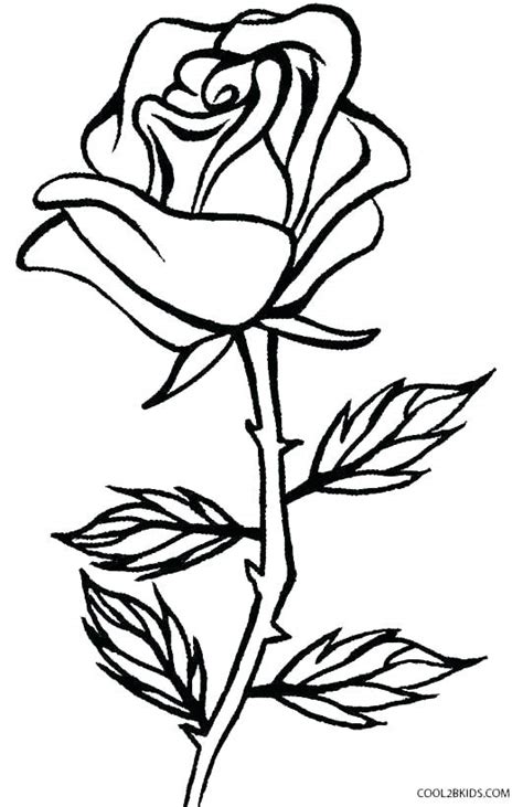 Rose Flower Pencil Drawing At Getdrawings Free Download