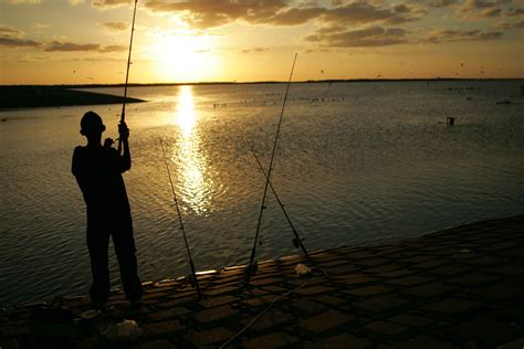 Free Picture Young Man Stands Fishing Sunset