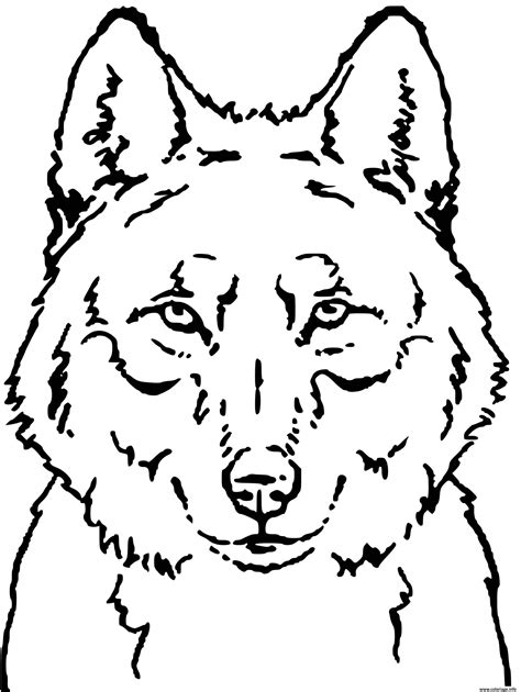 Coloriage Loup Face Tete Portrait Dessin Loup à Imprimer