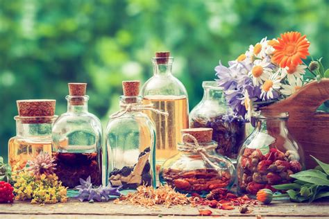 Herbs And Herbalism
