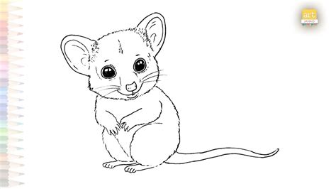 Possum Animal Drawing Opossum Drawings How To Draw Possum Step By Step Animal Sketches