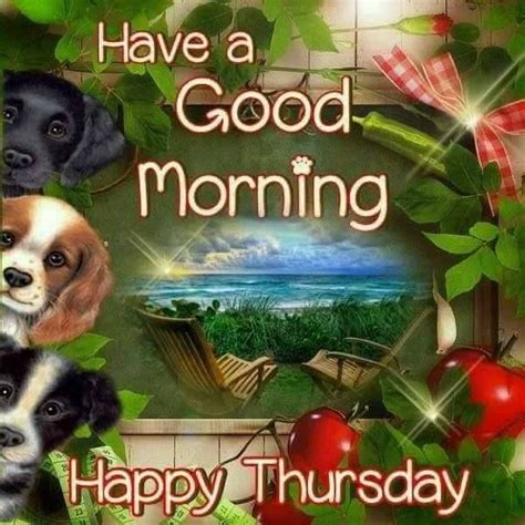 Puppy Good Morning Happy Thursday Pictures Photos And Images For