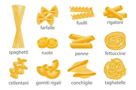 Conjunto De Pasta Italiana Diferentes Tipos De Pasta Italiana Vector De