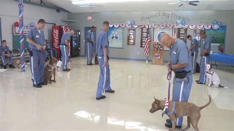 Prison Pups N Pals Helps Both Shelter Dogs And Inmates