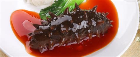 All About Sea Cucumbers