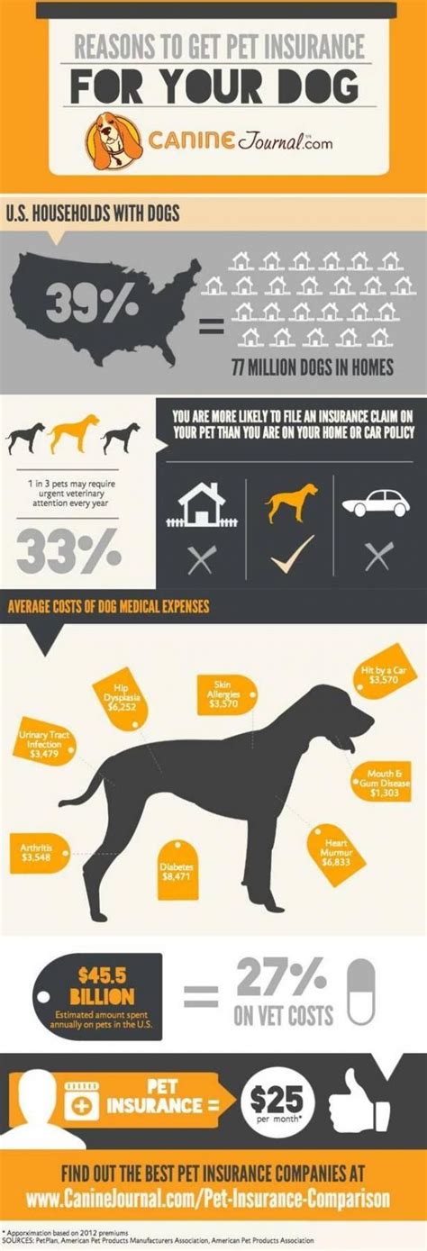 Maybe you would like to learn more about one of these? Pet Insurance Comparison 2014: Are You Ready For a Vet Emergency? #pet_insurance,#pet_insurance ...