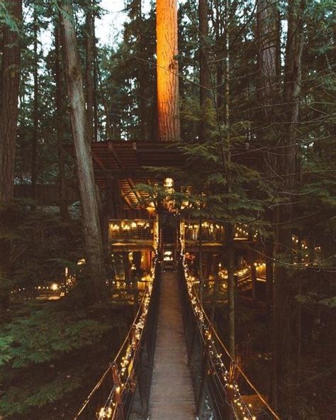 At Capilano Suspension Bridge Park During Canyon Lights Forest House