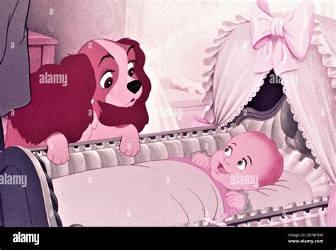 Lady With New Baby In Walt Disneys Lady And The Tramp 1955 Directors