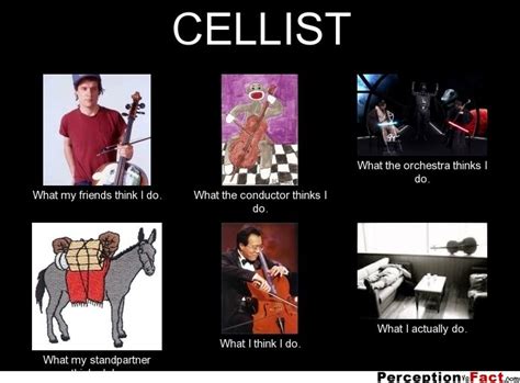 It will be published if it complies with the content rules and our moderators approve it. CELLIST... | Cello music, Music jokes, Orchestra humor
