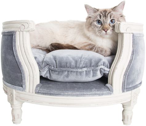 In Store Mid Year Pet Sofa Luxury Cat Pet Beds