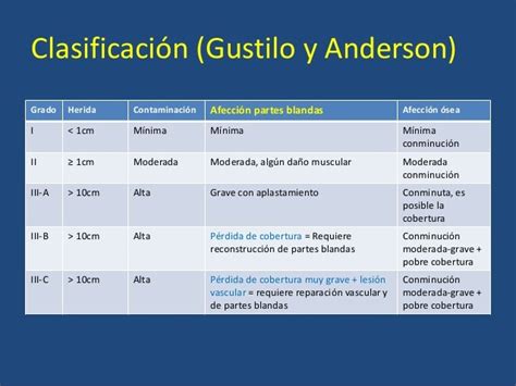 Fracturas Expuestas Clasificacion De Gustilo Pdf