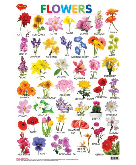 10000ダウンロード済み√ Chart Name Of Flowers In English 205494 Chart Of