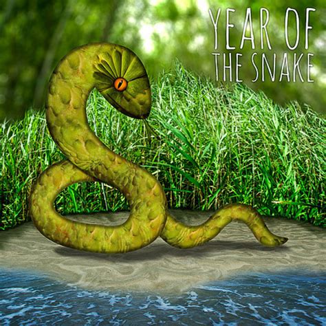 The Year Of The Snake Carrie Webster Artshine Galleries