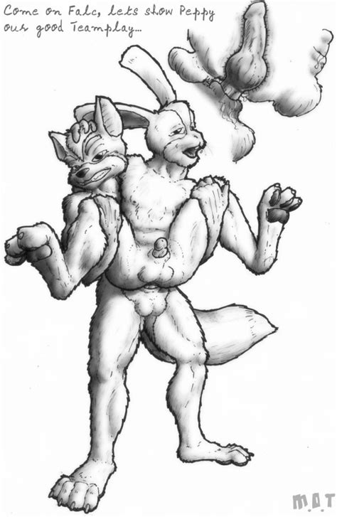 Rule 34 Anthro Buggery Fox Fox Mccloud Fur Furry Furry Only Gay