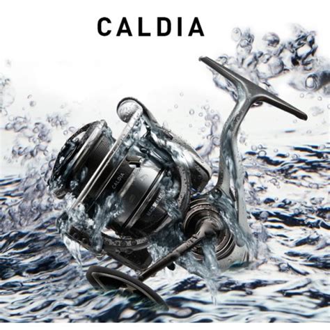 Купить катушку Daiwa 18 CALDIA LT4000 CXH