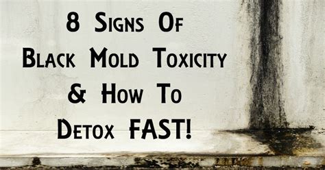 8 Signs Of Black Mold Toxicity And How To Detox Fast Detox Fast Mold In Bathroom Mold Exposure