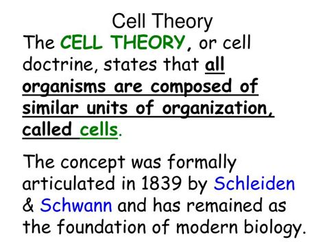 Ppt Cell Theory Powerpoint Presentation Free Download Id2099327