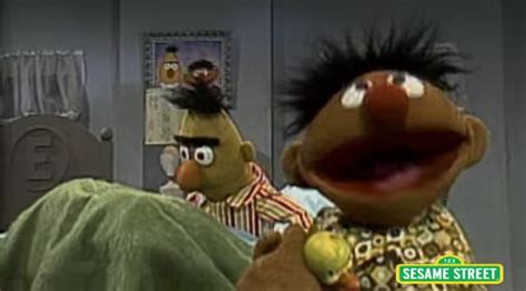 are bert and ernie gay writer mark saltzman reveals all