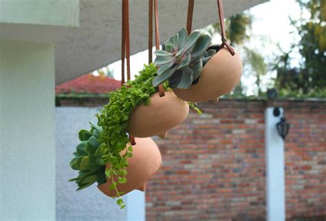 Looking for simple and elegant ceramic pots for planting saplings in your house. Hanging Ceramic Pots Inspired by Mexican Jicama Plant