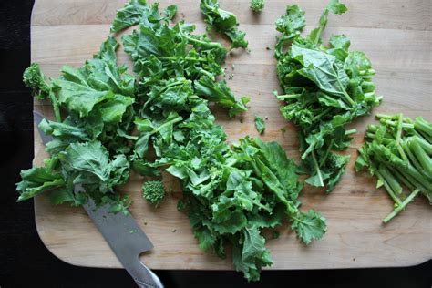 What Is Broccoli Rabe And How Is It Used