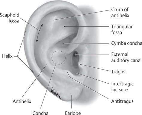icd 10 code for cellulitis of left ear
